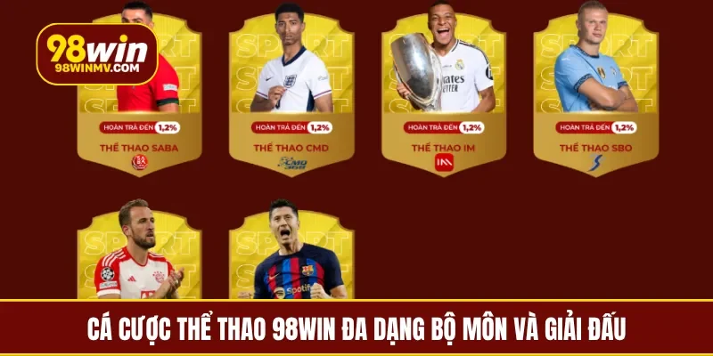Cá cược thể thao 98Win đa dạng bộ môn và giải đấu