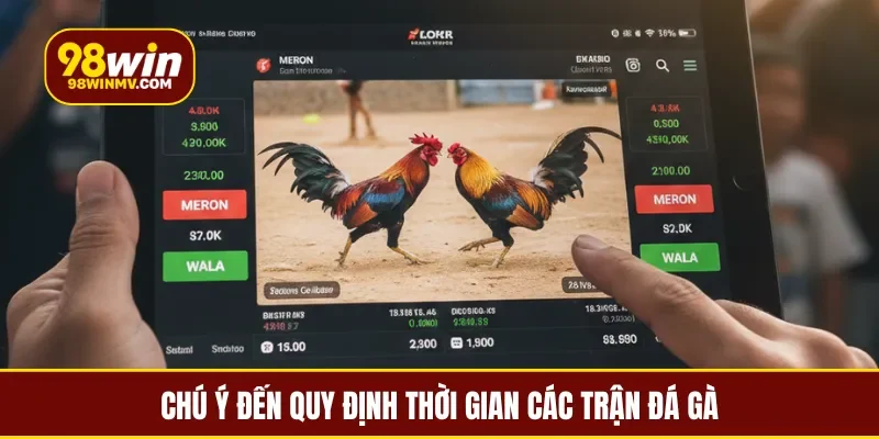 Chú ý đến quy định thời gian các trận đá gà