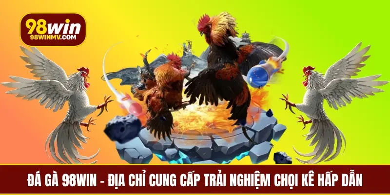 Đá gà 98win - Địa chỉ cung cấp trải nghiệm chọi kê hấp dẫn