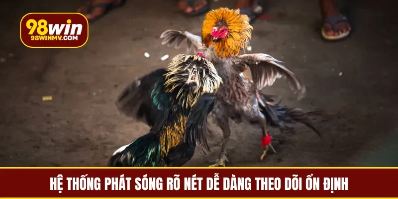 Hệ thống phát sóng rõ nét dễ dàng theo dõi ổn định