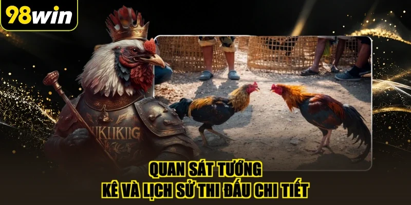 Quan sát tướng kê và lịch sử thi đấu chi tiết
